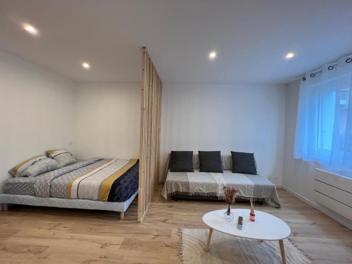 Le Petit Sauveur - Studio & Parking Apartment Toulouse Luaran gambar